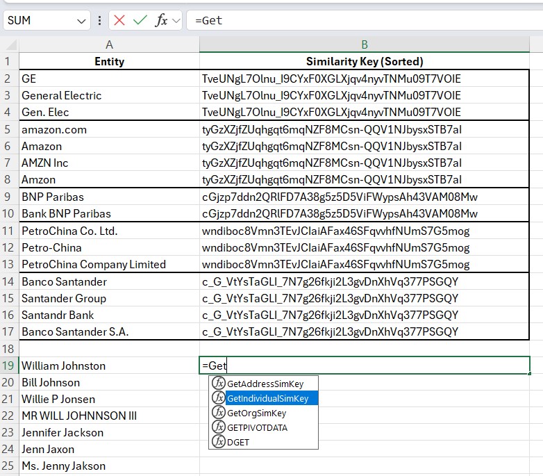 Excel Data Quality Workbook Fuzzy Matching Screenshot